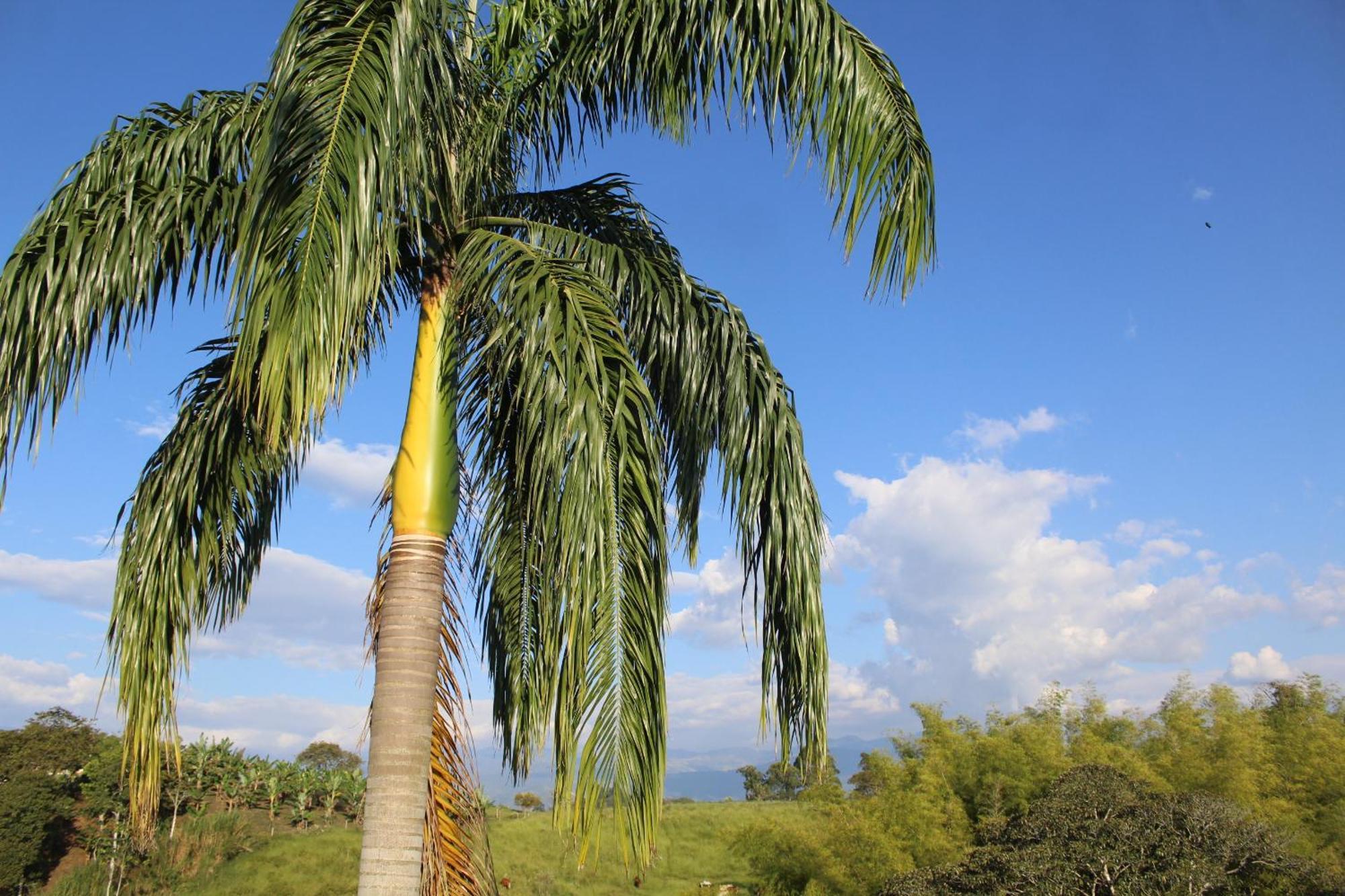 菲兰迪亚Rancho Ventura别墅 外观 照片